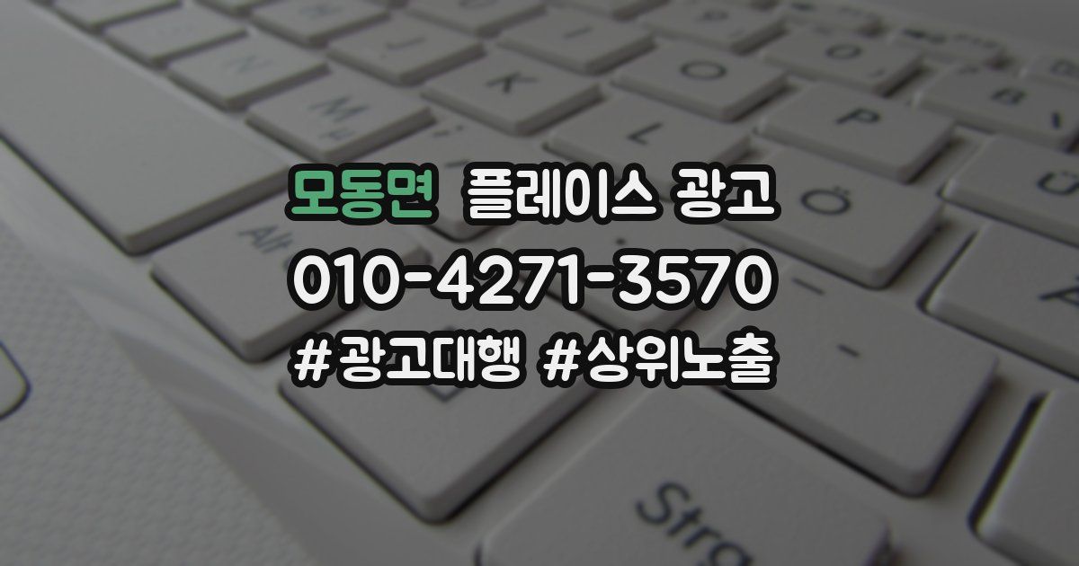 모동면 플레이스 광고