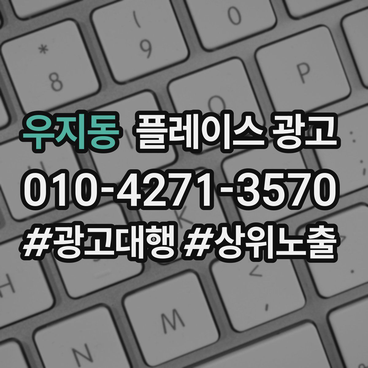 우지동 플레이스 광고