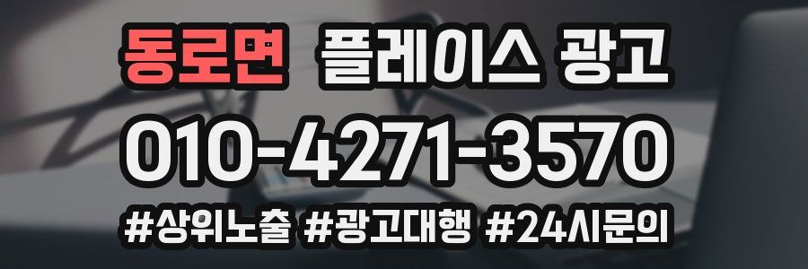동로면 플레이스 광고