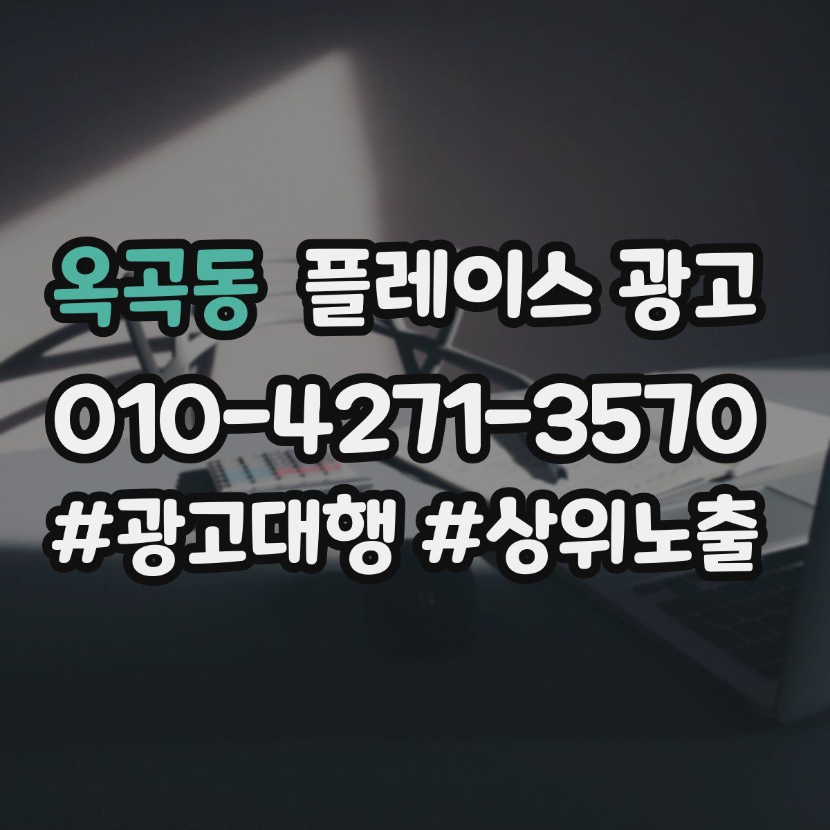 옥곡동 플레이스 광고