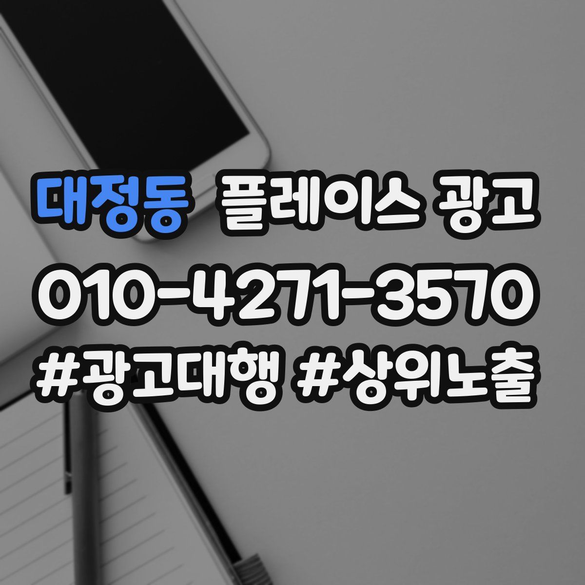 대정동 플레이스 광고