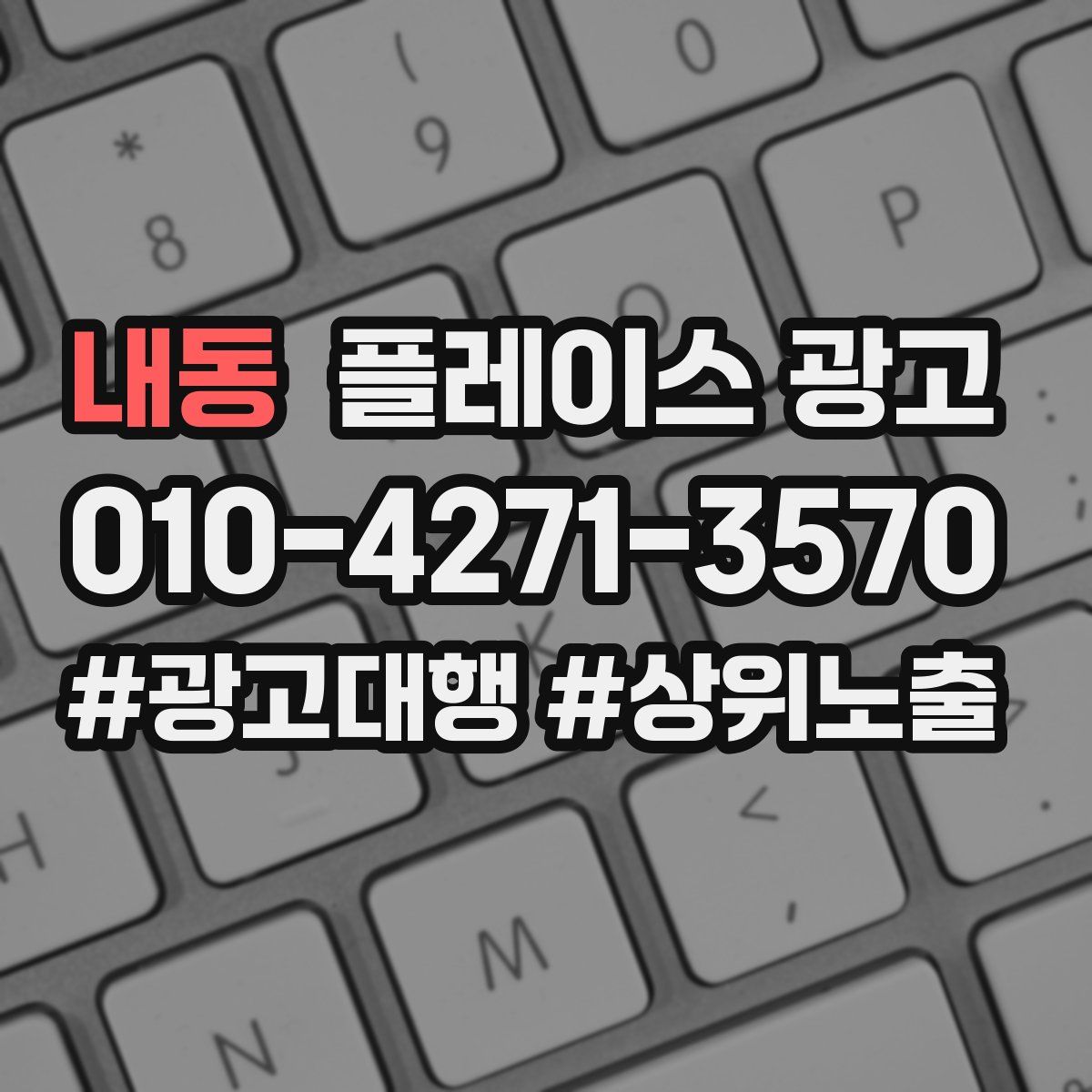 내동 플레이스 광고