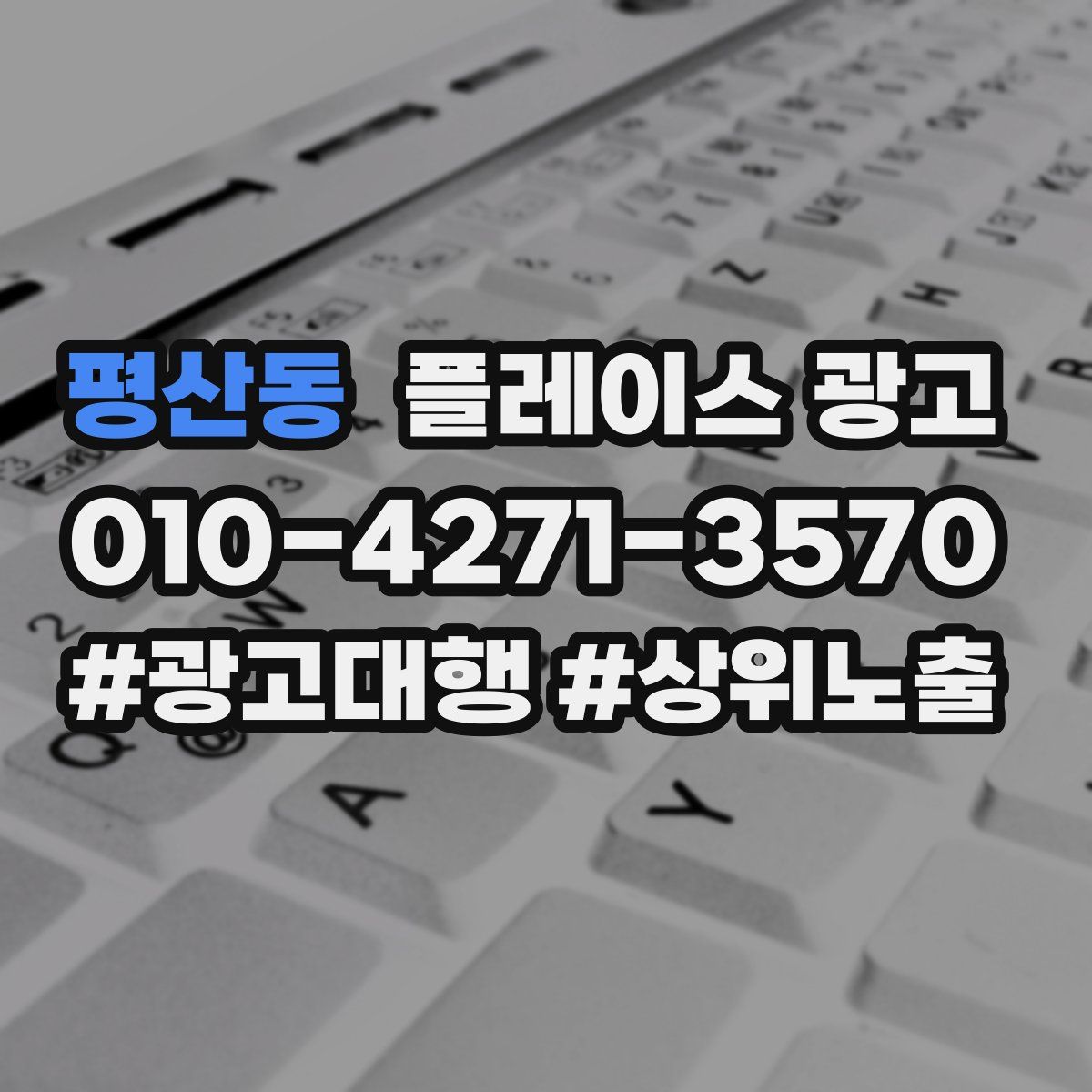 평산동 플레이스 광고