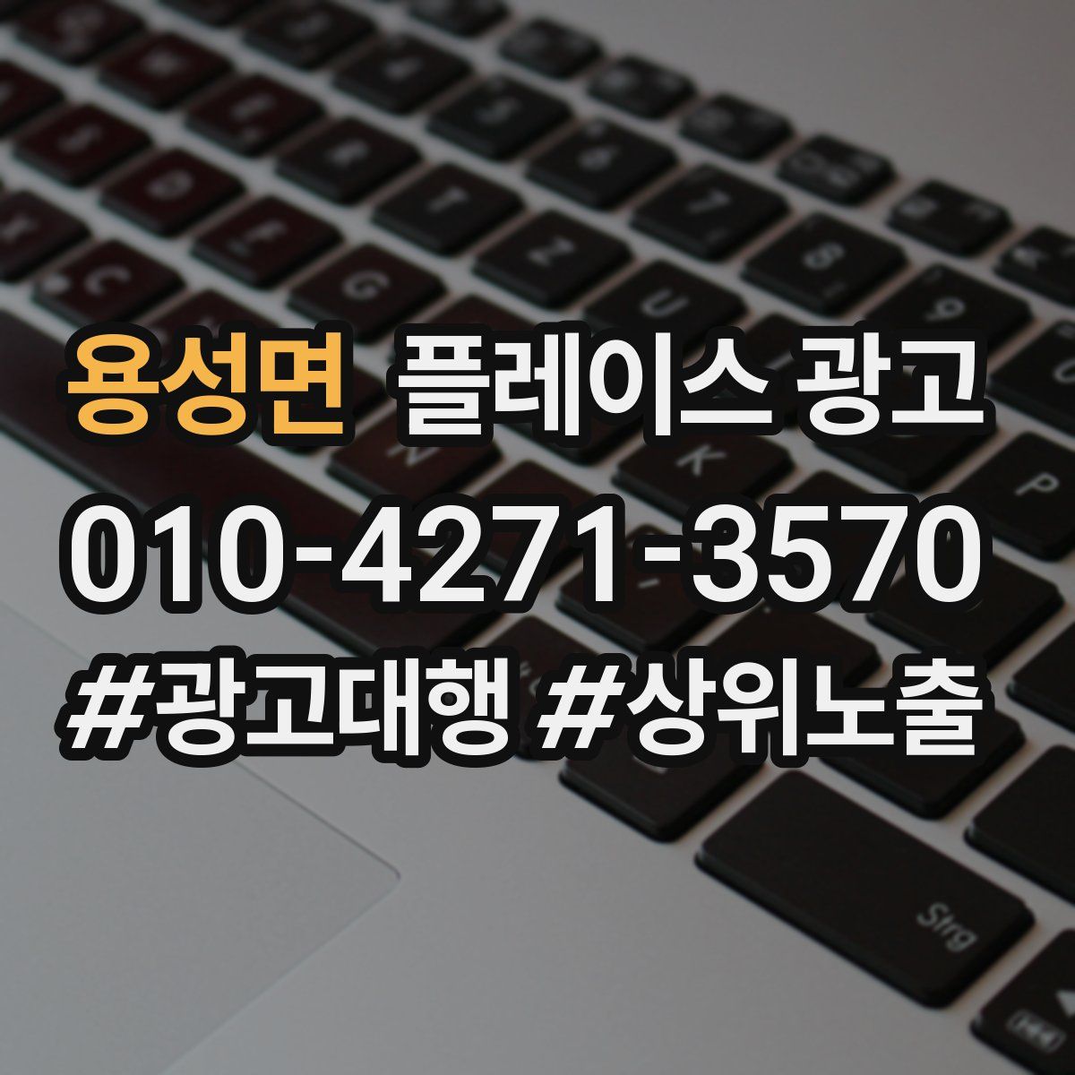 용성면 플레이스 광고