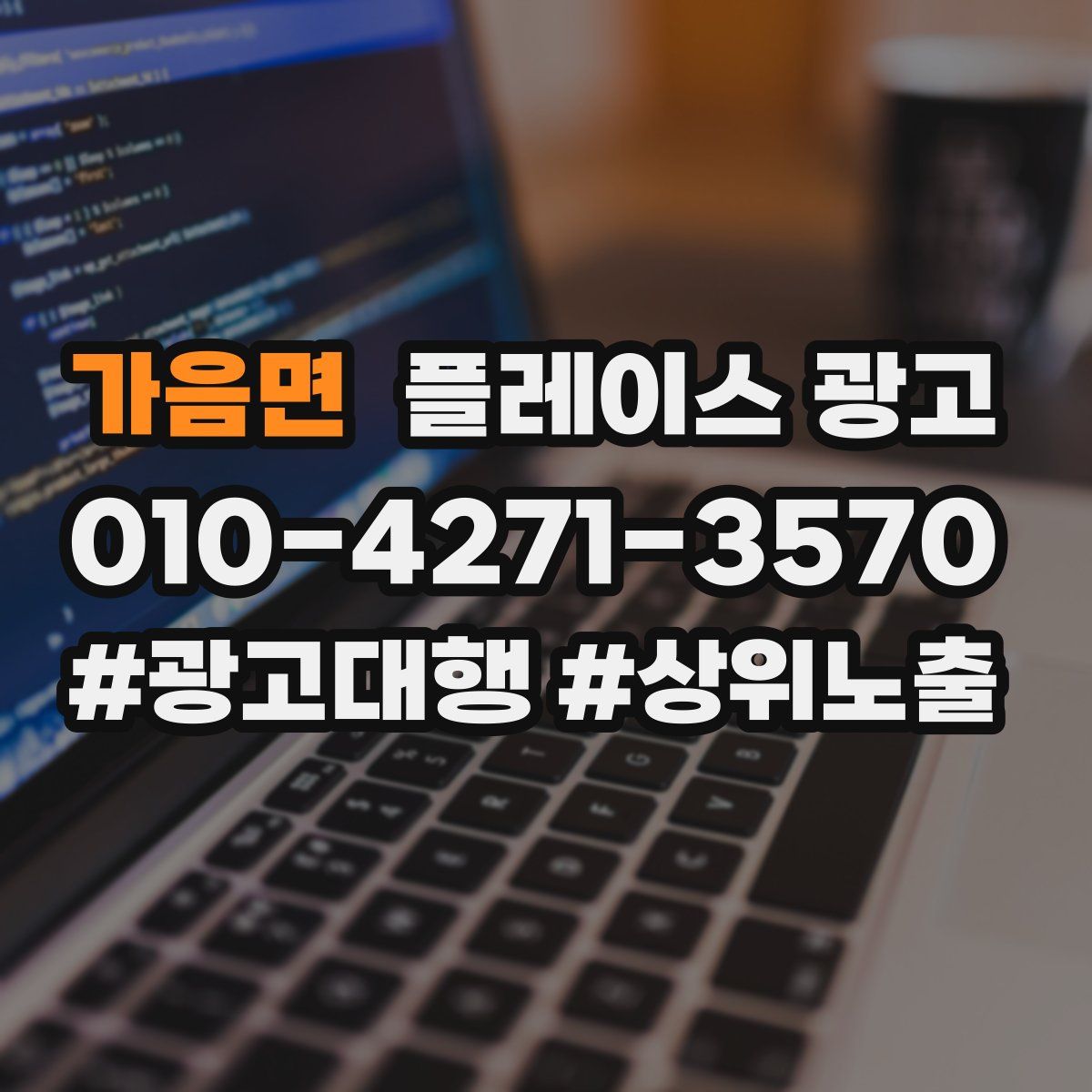 가음면 플레이스 광고