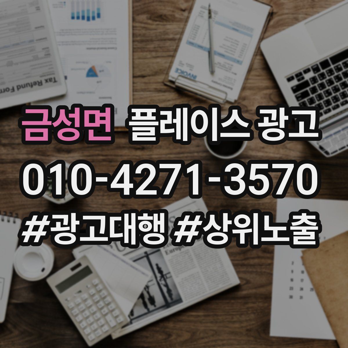 금성면 플레이스 광고