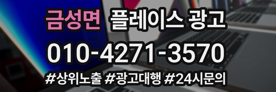 금성면 플레이스 광고