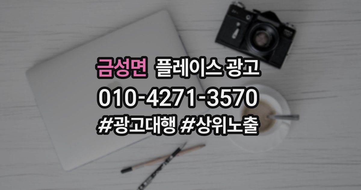 금성면 플레이스 광고