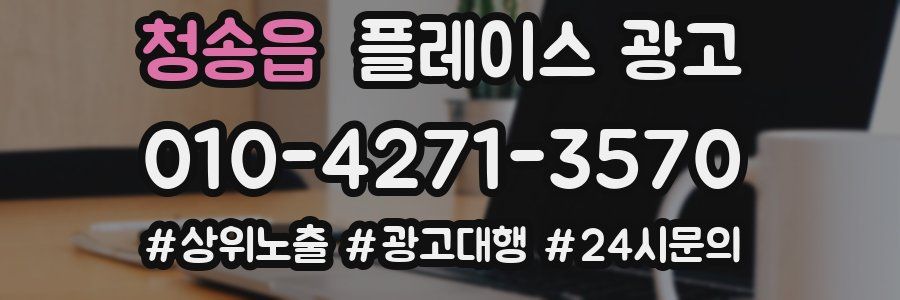 청송읍 플레이스 광고