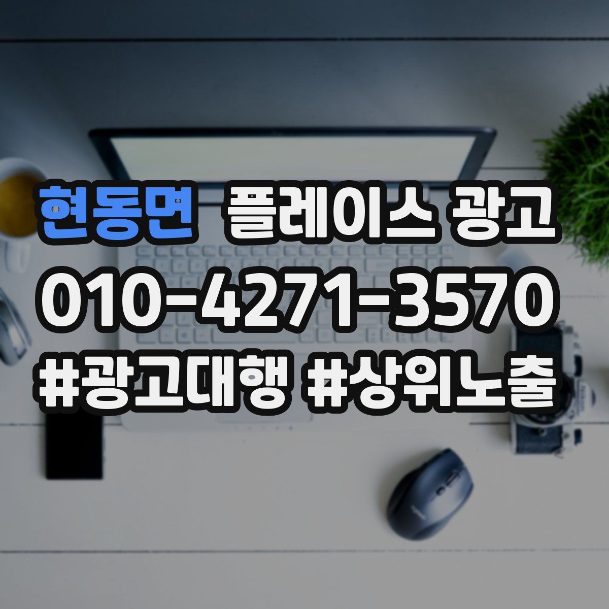 현동면 플레이스 광고