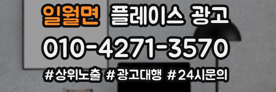 일월면 플레이스 광고