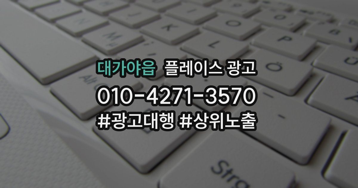 대가야읍 플레이스 광고