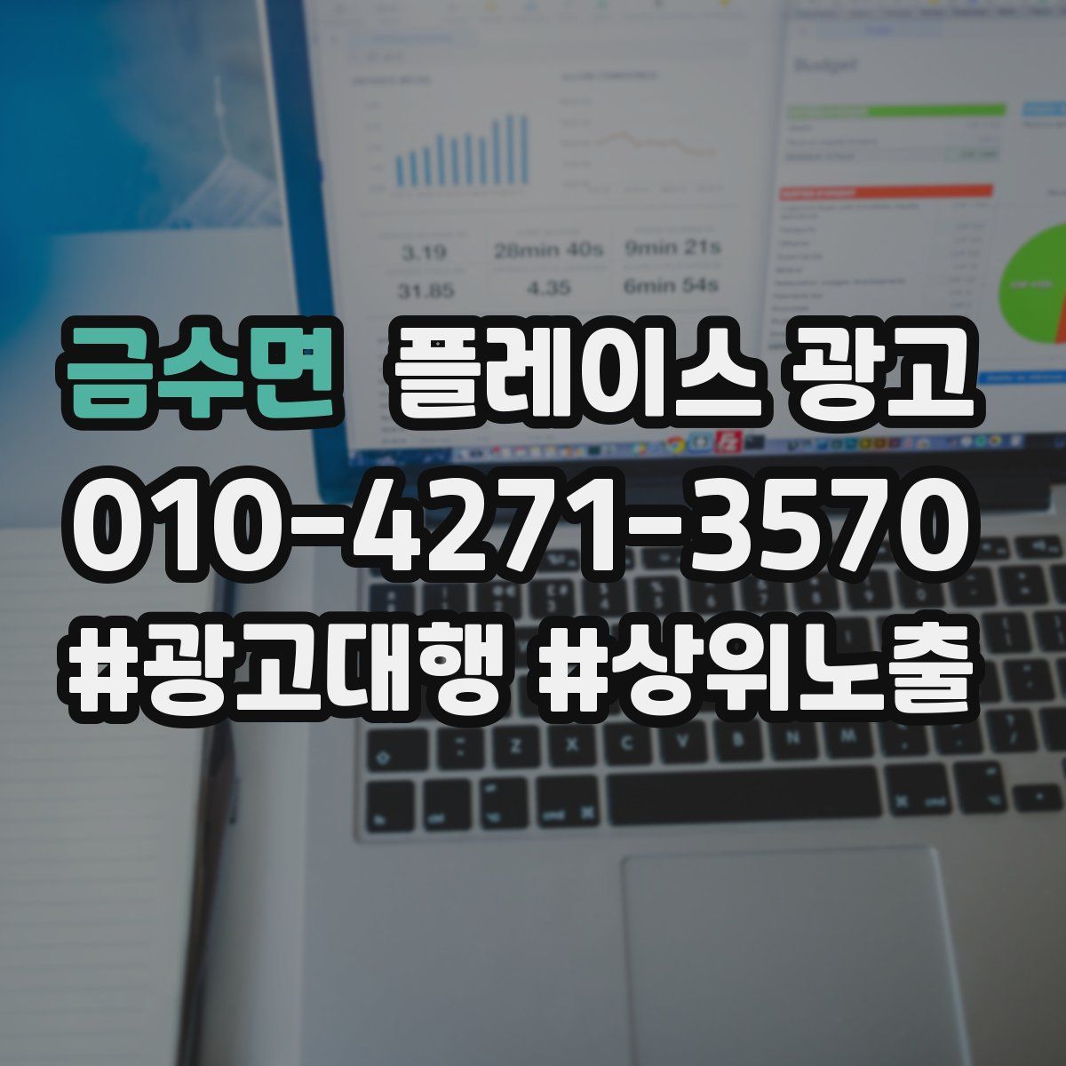 금수면 플레이스 광고