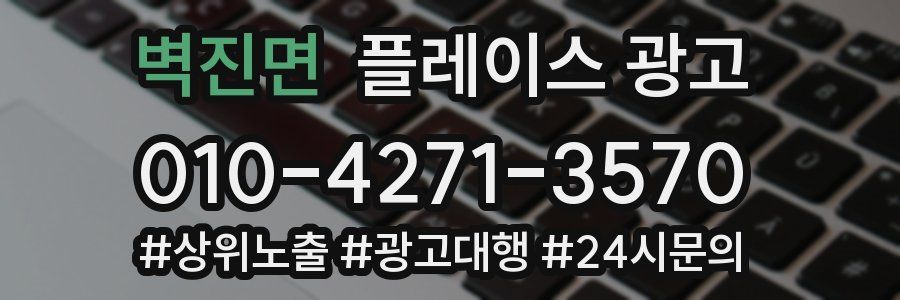 벽진면 플레이스 광고