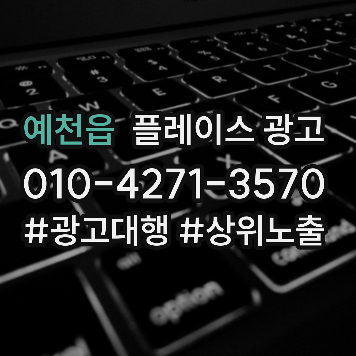 예천읍 플레이스 광고