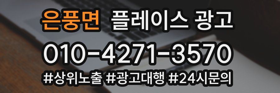 은풍면 플레이스 광고