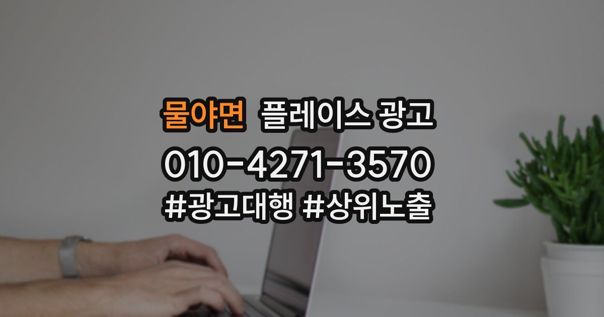 물야면 플레이스 광고