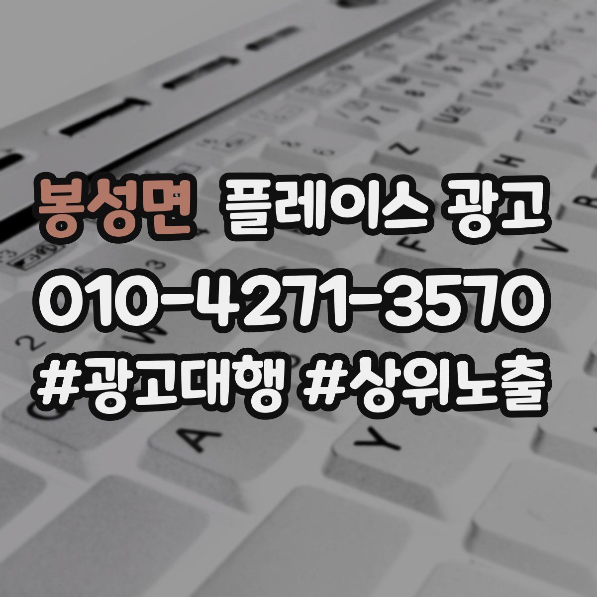 봉성면 플레이스 광고