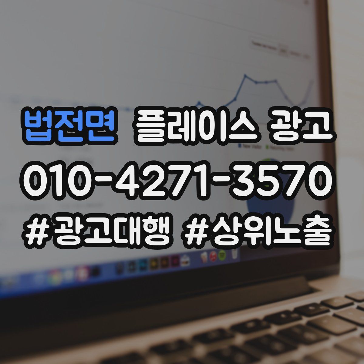 법전면 플레이스 광고