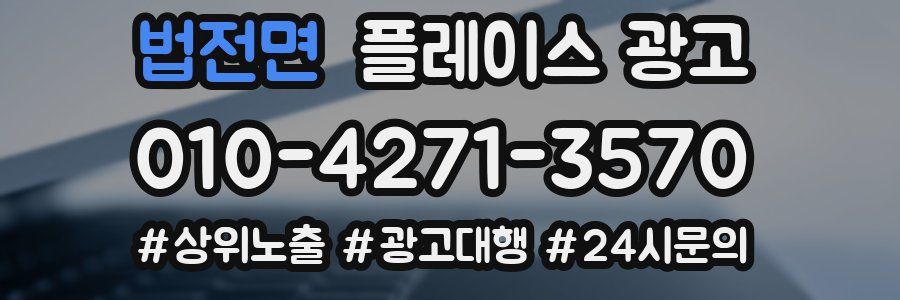 법전면 플레이스 광고