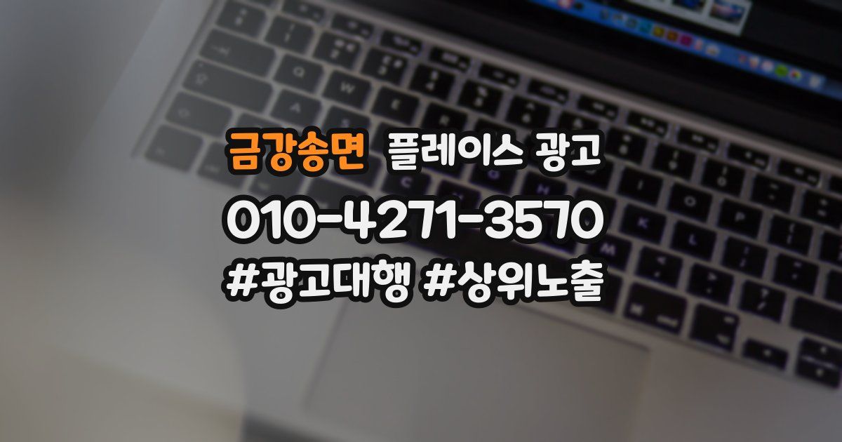 금강송면 플레이스 광고