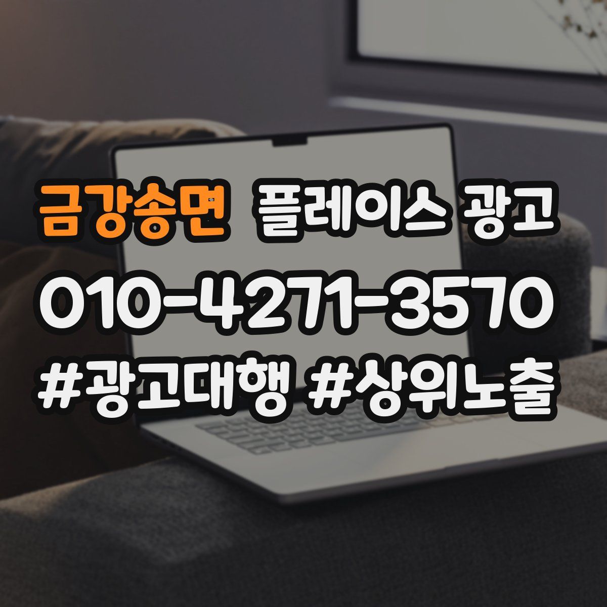 금강송면 플레이스 광고