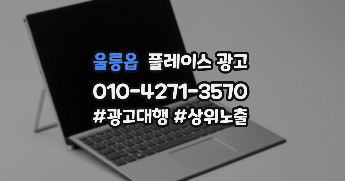 울릉읍 플레이스 광고