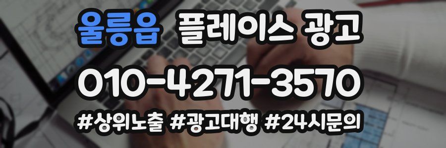 울릉읍 플레이스 광고
