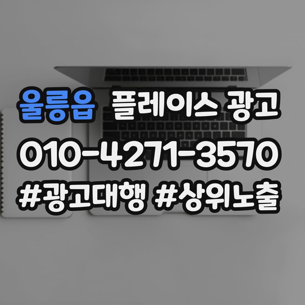 울릉읍 플레이스 광고