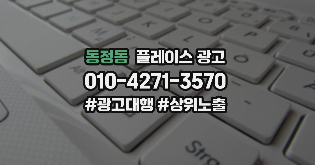동정동 플레이스 광고