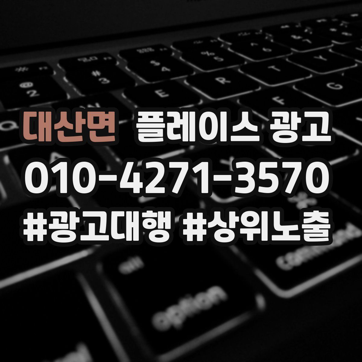대산면 플레이스 광고