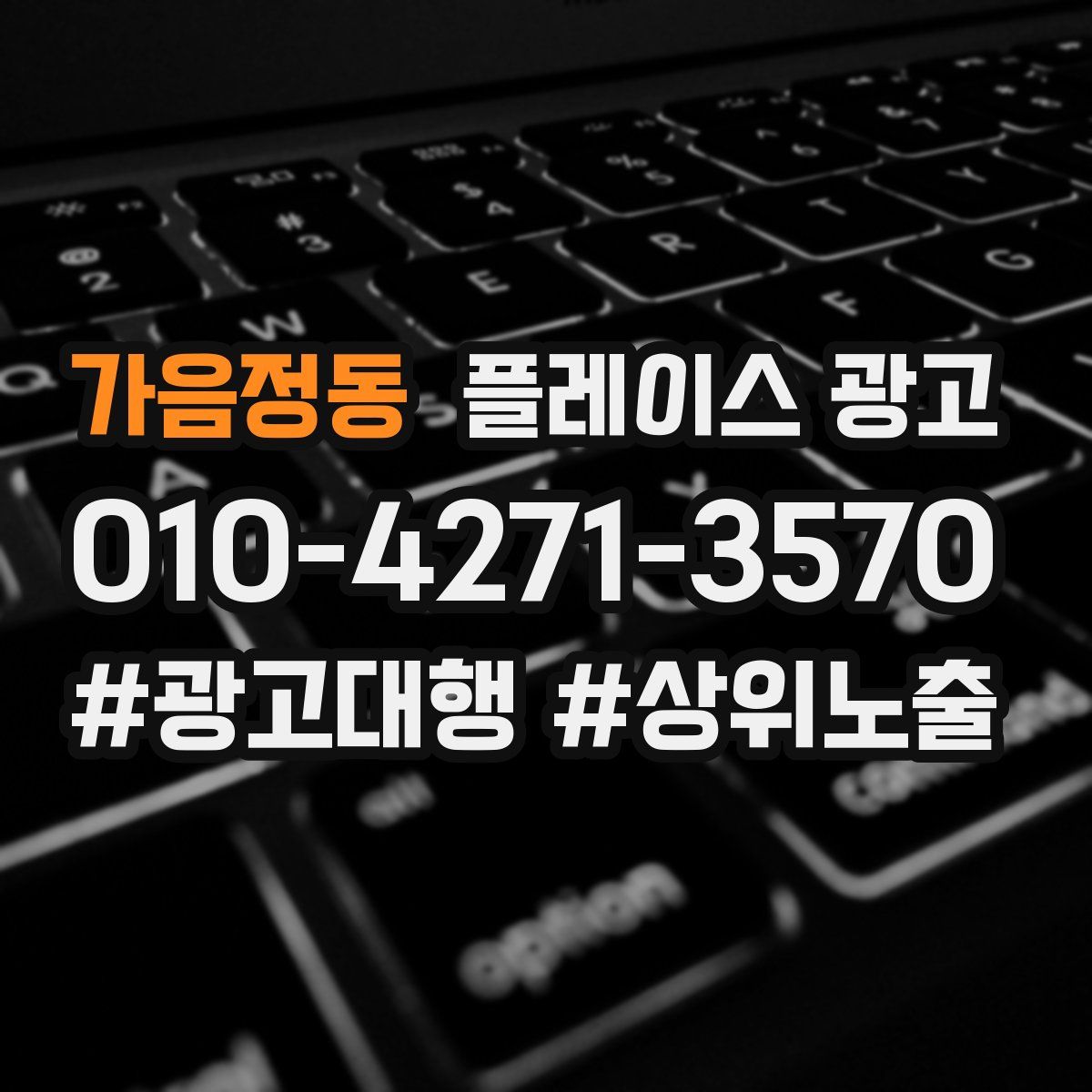 가음정동 플레이스 광고