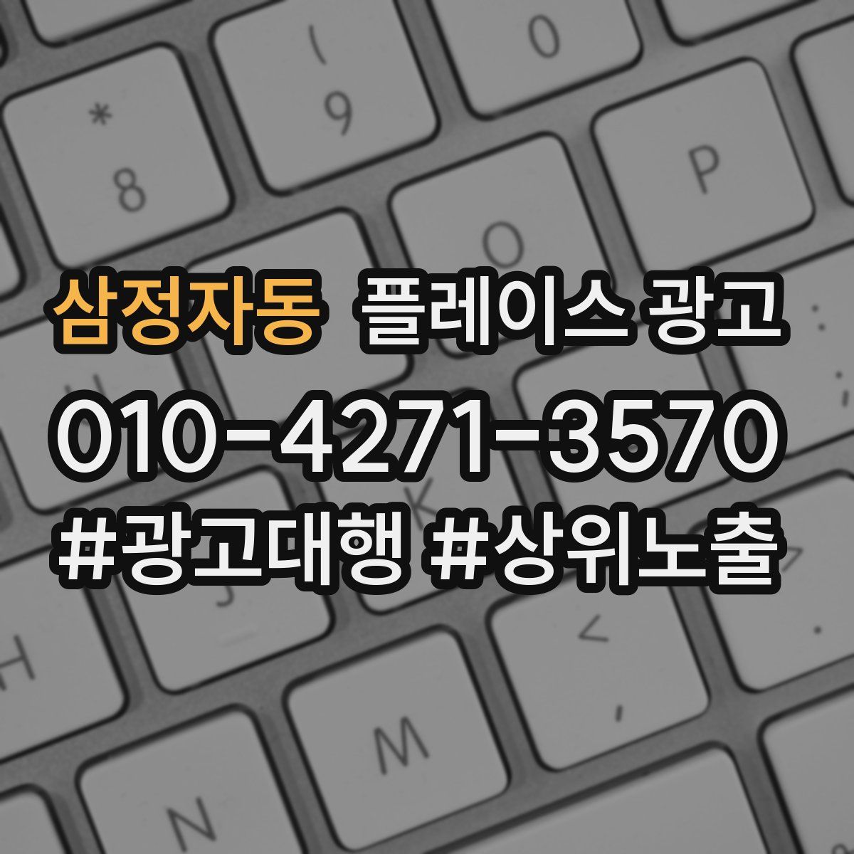 삼정자동 플레이스 광고