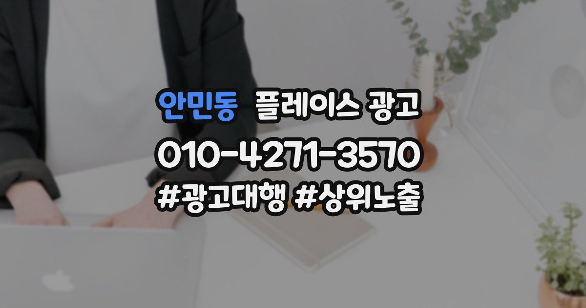안민동 플레이스 광고