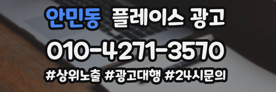 안민동 플레이스 광고