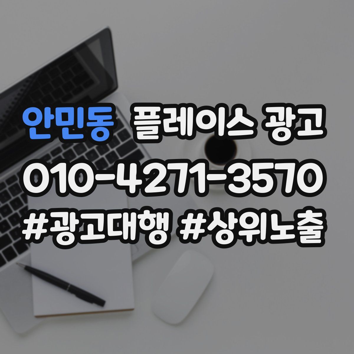 안민동 플레이스 광고