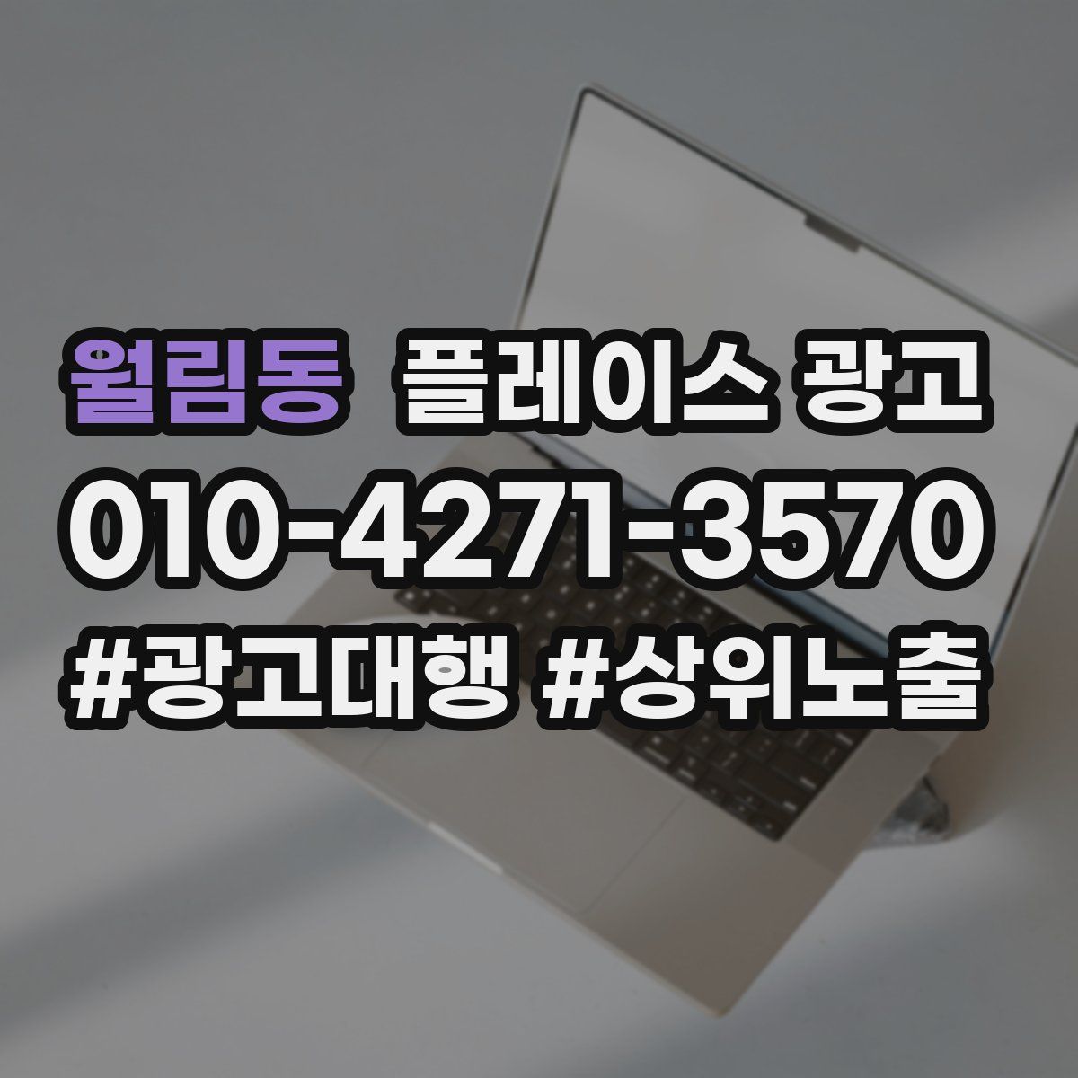 월림동 플레이스 광고