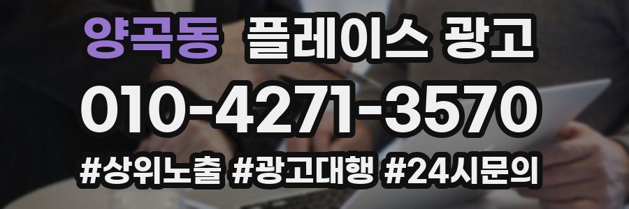양곡동 플레이스 광고