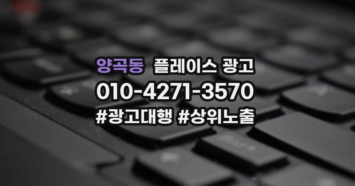 양곡동 플레이스 광고