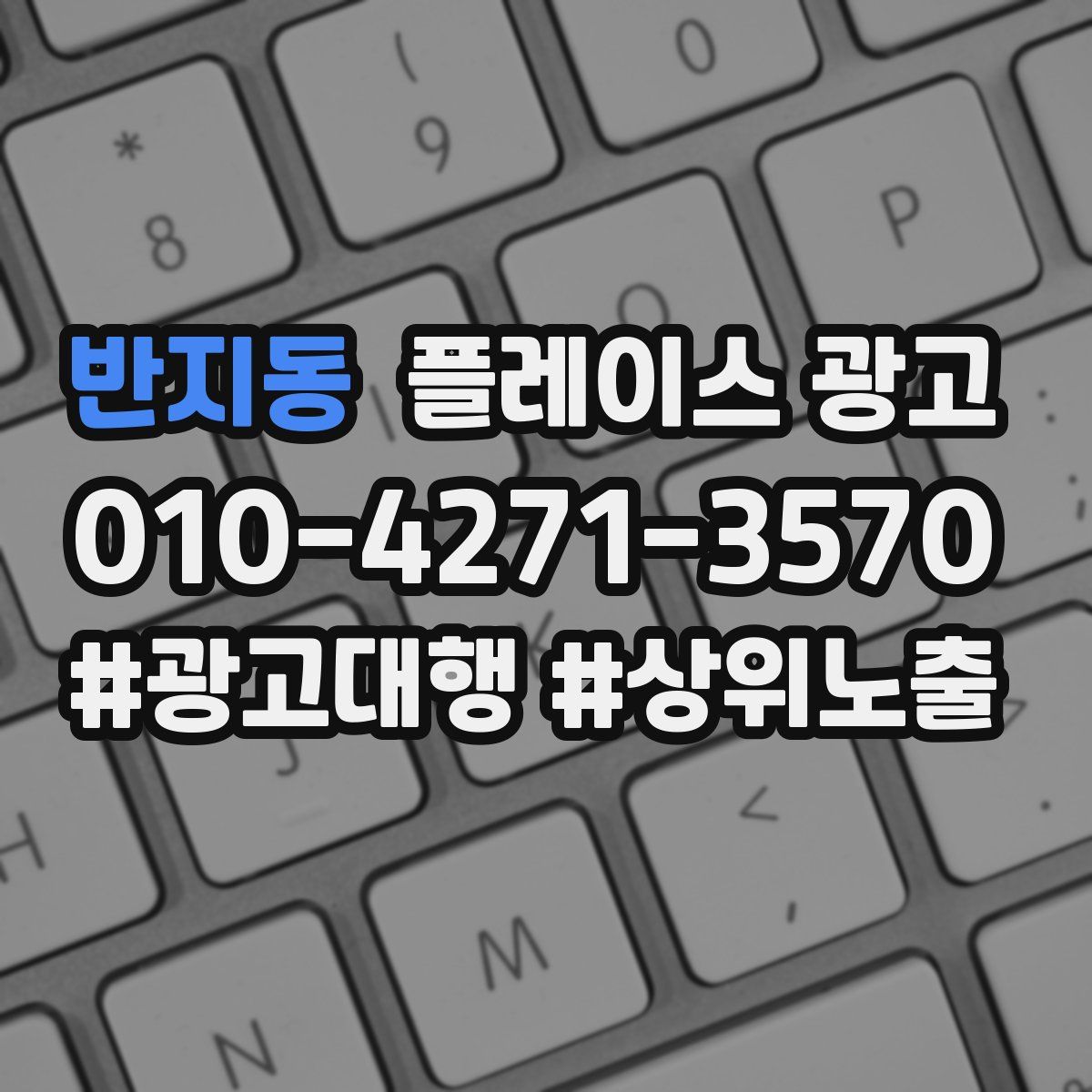 반지동 플레이스 광고