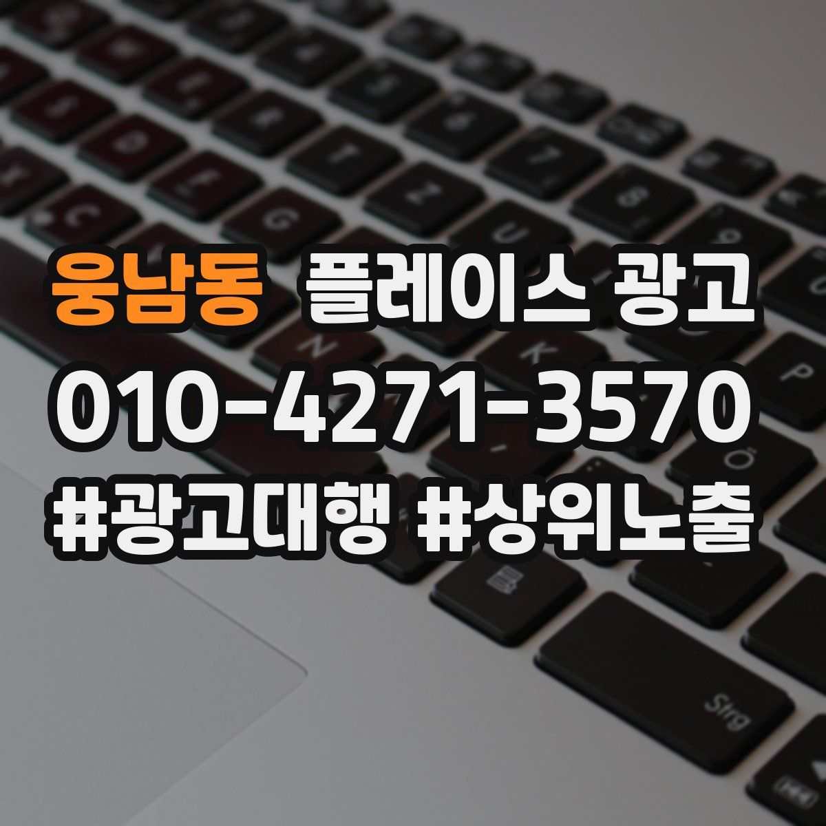 웅남동 플레이스 광고