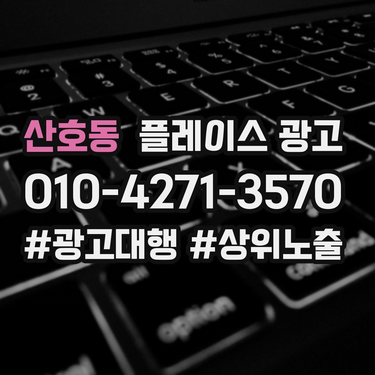 산호동 플레이스 광고