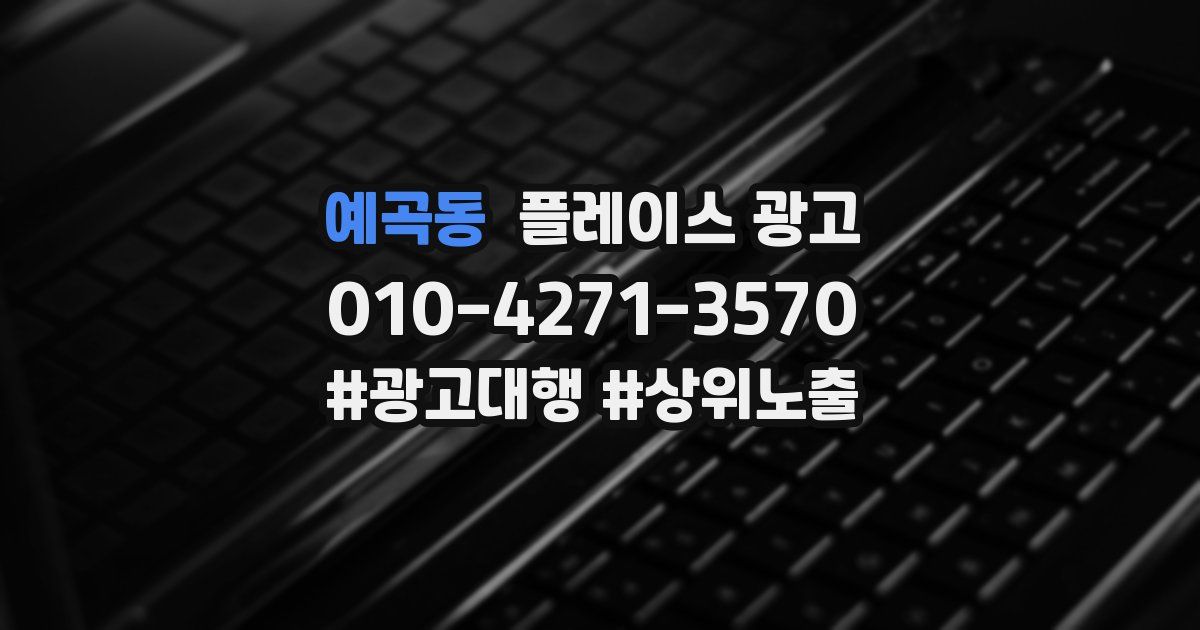 예곡동 플레이스 광고