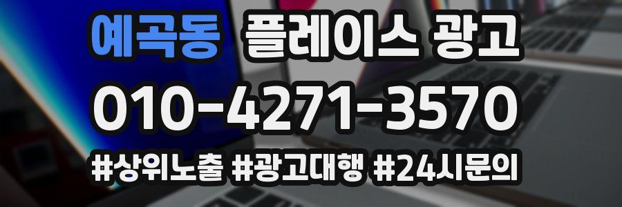 예곡동 플레이스 광고