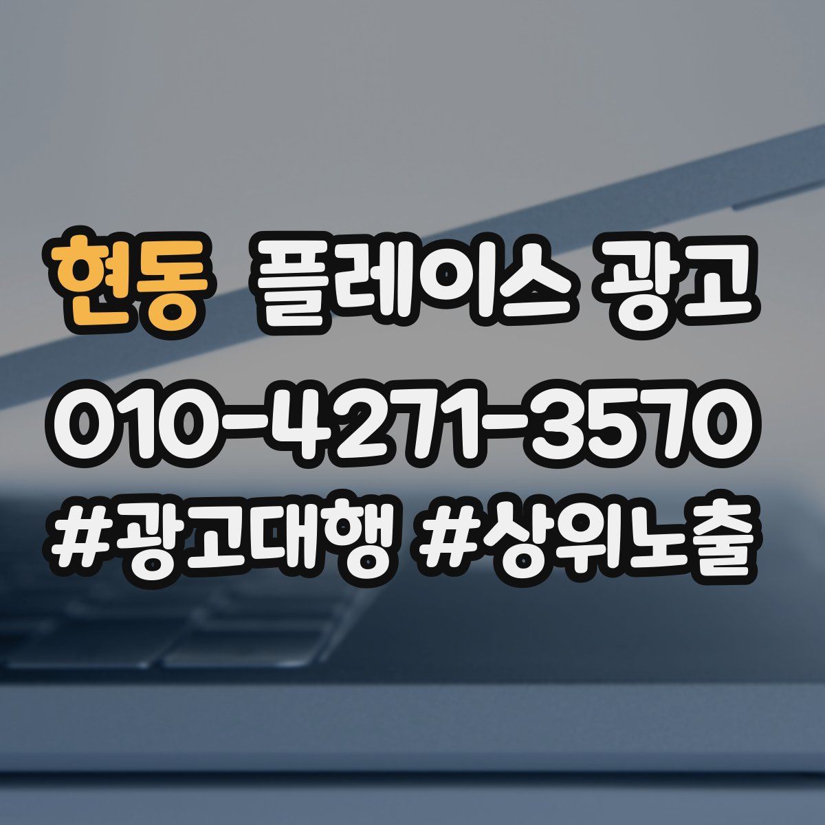 현동 플레이스 광고