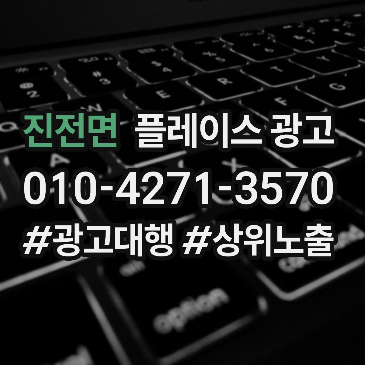 진전면 플레이스 광고