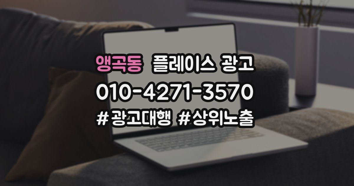 앵곡동 플레이스 광고