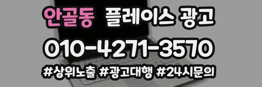 안골동 플레이스 광고