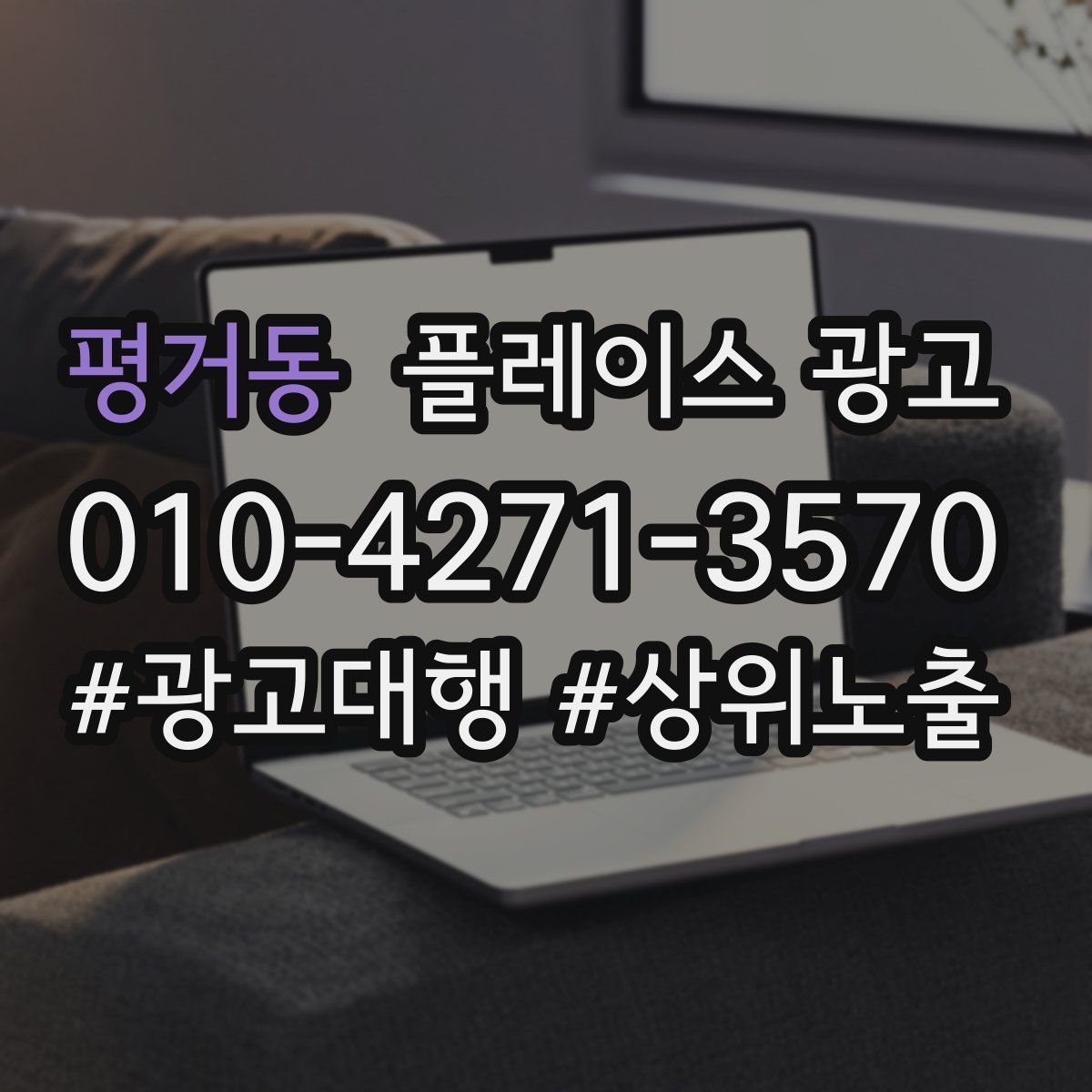 평거동 플레이스 광고