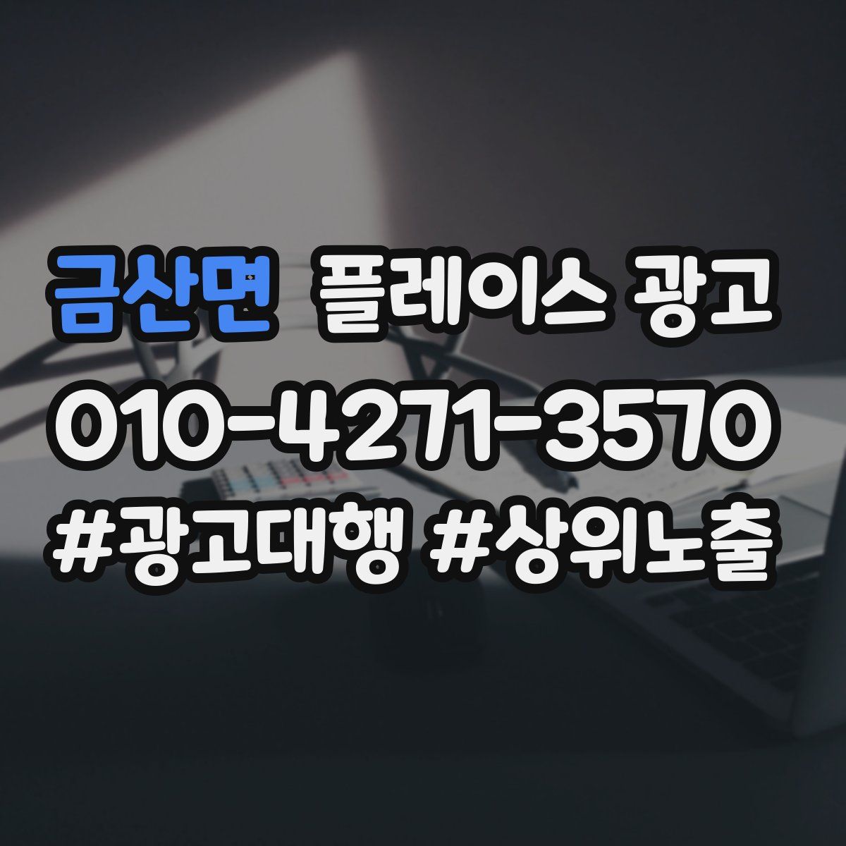 금산면 플레이스 광고